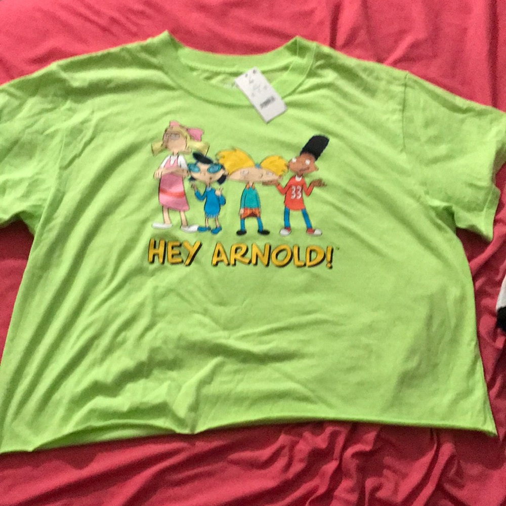 Hey Arnold crop top